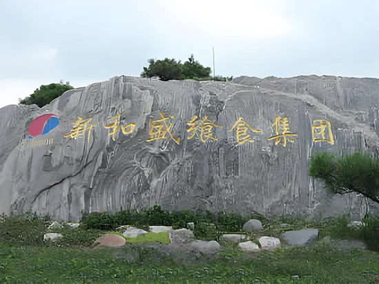 SEAHISUN: первый и лучший покупатель спиральной морозильной камеры JET