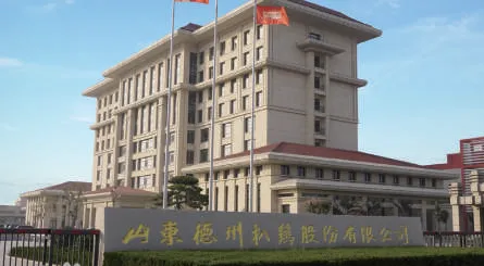 Шаньдун Дэчжоу Тушеная Курица Co., ЛТД.