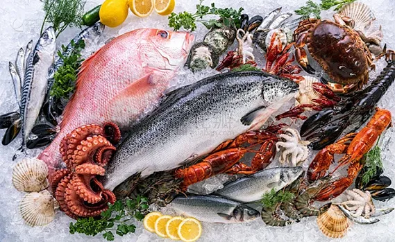 Сохранение свежести водных продуктов с помощью самых инновационных решений для замораживания